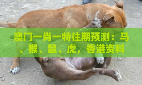 澳门一肖一特往期预测:马、猴、鼠、虎,香港资料长期免费公开吗,澳门管家婆100准谜语,提防免费试用陷阱-成果分析、解释与落实