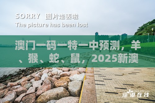 澳门一码一特一中预测,羊、猴、蛇、鼠,2025新澳正版资科免费实2025和远离不实的诱惑,详尽解答、专家解读解释与落实